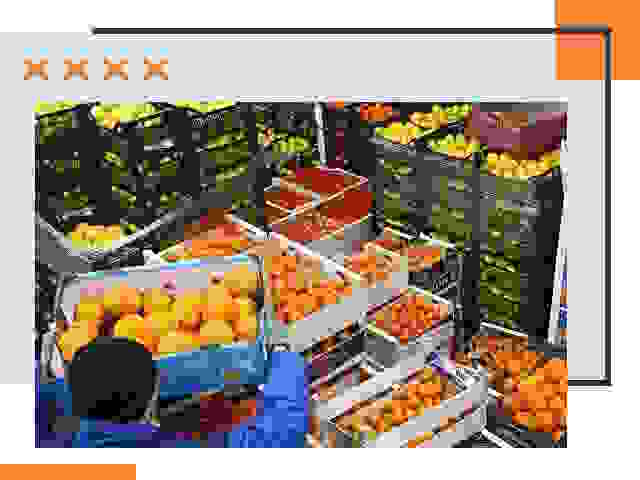 Перевозка скоропортящихся продуктов в Краснокаменске